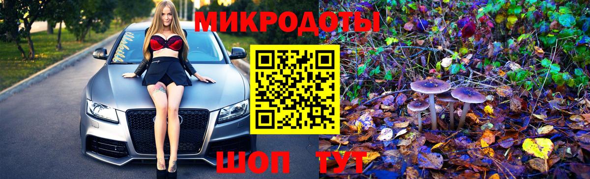 Галлюциногенные грибы прущие грибы  Вход с VPN  Саров  Псилоцибиновые грибы прущие грибы 
